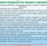 Правила поведения и меры безопасности во время весеннего половодья - Педагогический колледж