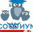 «Софиум» ищет новых знатоков! - Избирательная комиссия